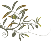 Olive Branch Christian Counselling